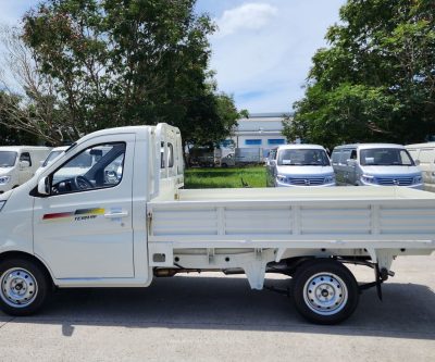 Tera 100s Thùng Lửng