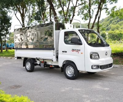 veam foton t25s